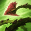 Zyra's Grasping Roots