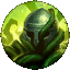 Rune Tree